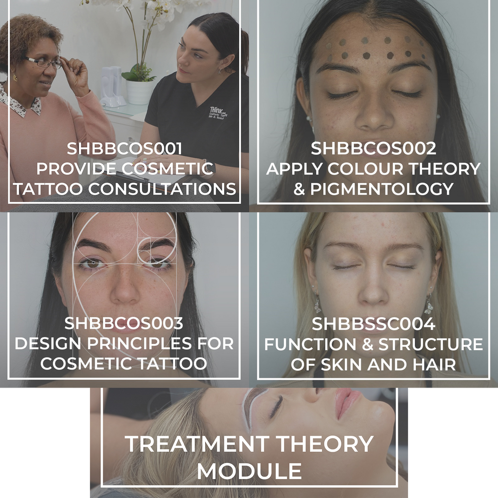 Core Units with Treatment Theory Module Bundle for the Diploma of Cosmetic Tattooing, Black Friday Exclusive